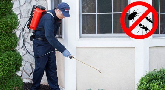 Bartın Bit İlaçlama böcek ilaçlama ve haşere kontrolü — ilaclama-tr.com